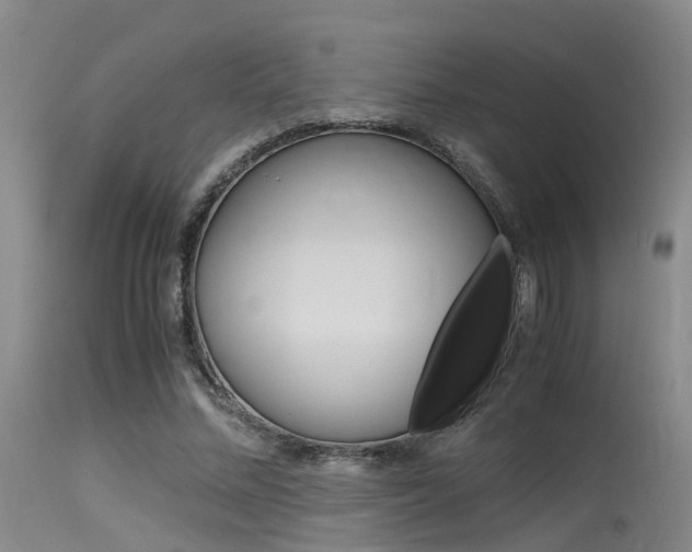 X0000115720684200911121103