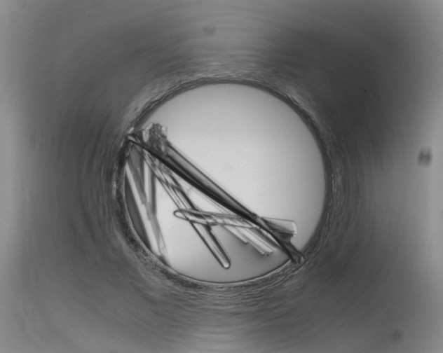 X0000115720685200911121103