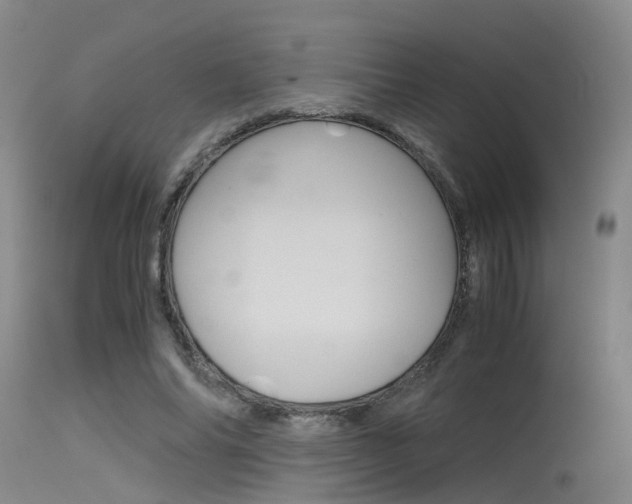 X0000115720686200911121103