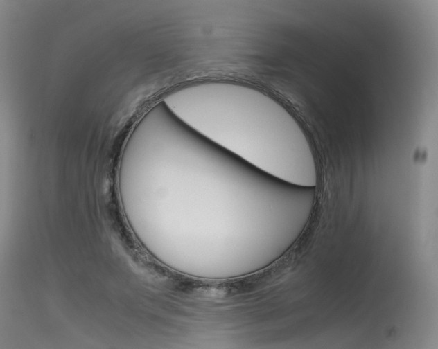 X0000115720687200911121103