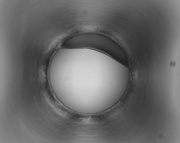 X0000115720688200911121103