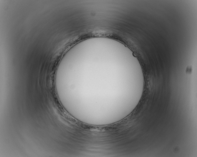 X0000115720690200911121103