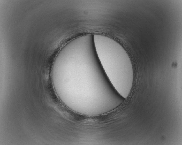 X0000115720691200911121103