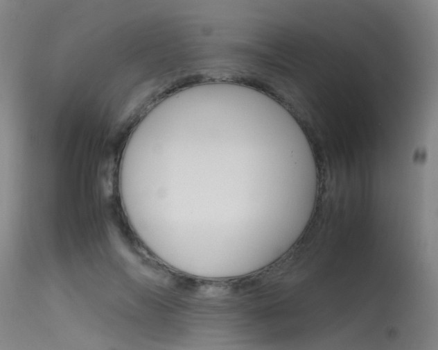 X0000115720694200911121103