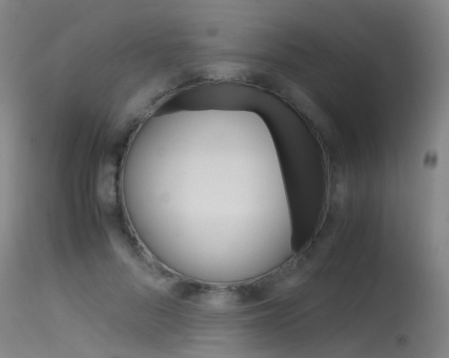 X0000115720696200911121103