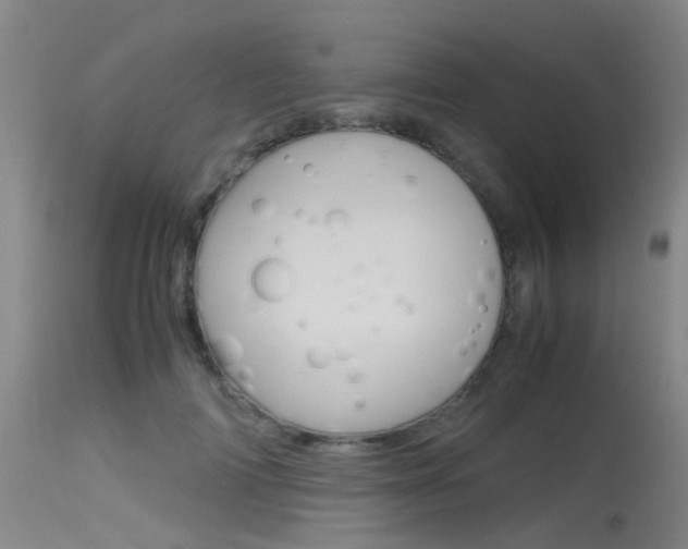 X0000115720698200911121103