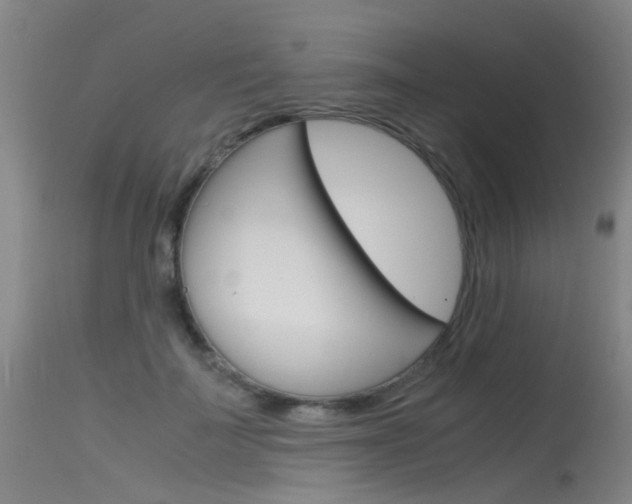X0000115720699200911121103