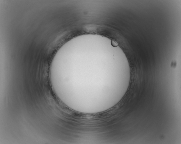 X0000115720702200911121103