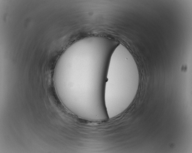 X0000115720703200911121103