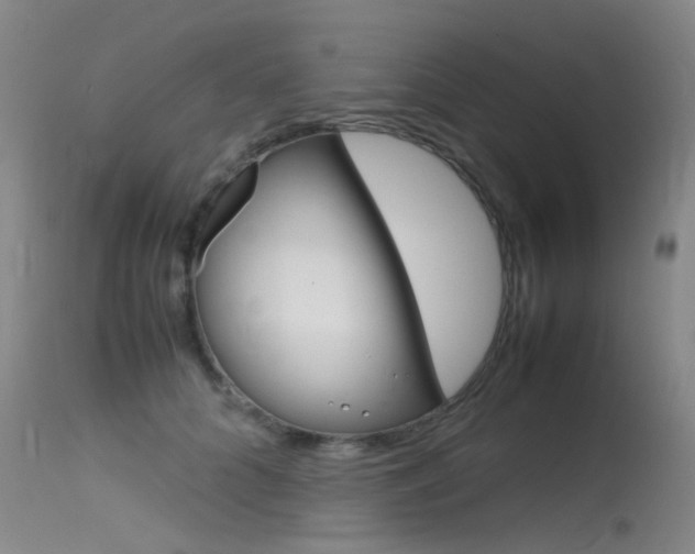 X0000115720704200911121103