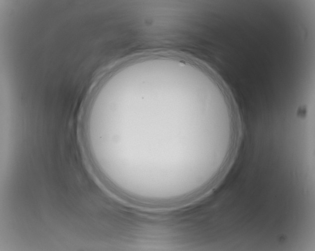 X0000115720705200911121103