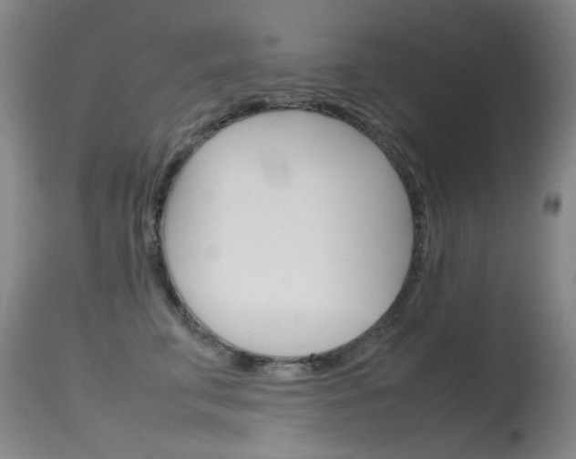 X0000115720711200911121103