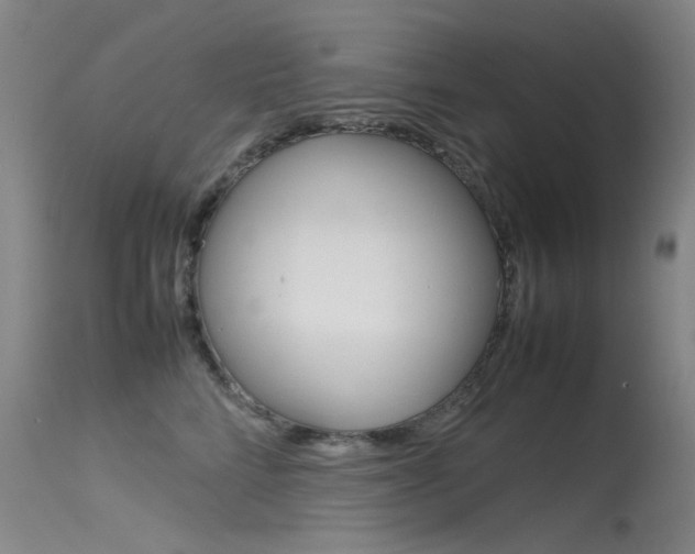 X0000115720712200911121103