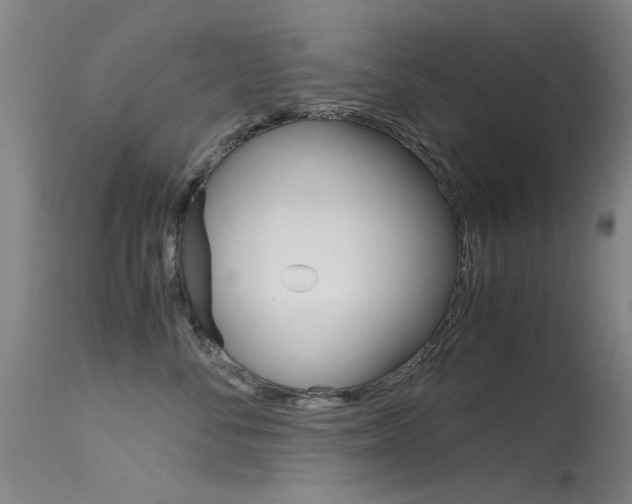 X0000115720716200911121103