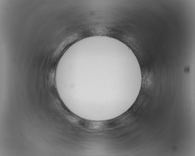 X0000115720717200911121103