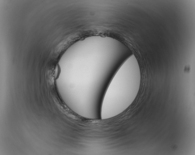 X0000115720719200911121103
