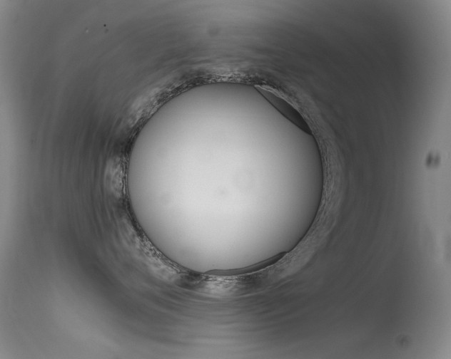 X0000115720720200911121103