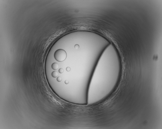 X0000115720721200911121102