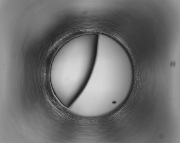 X0000115720722200911121102