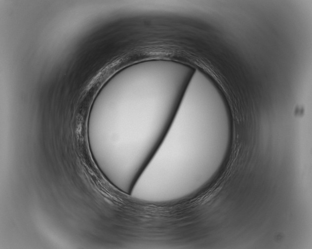 X0000115720723200911121102