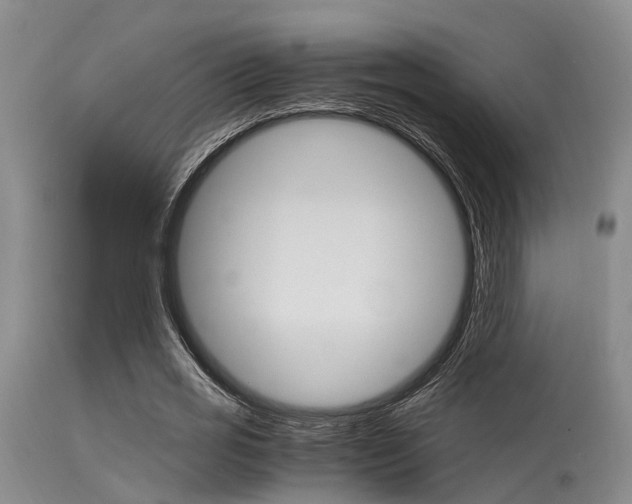 X0000115720725200911121102