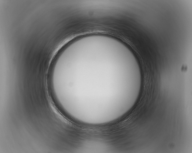 X0000115720726200911121102