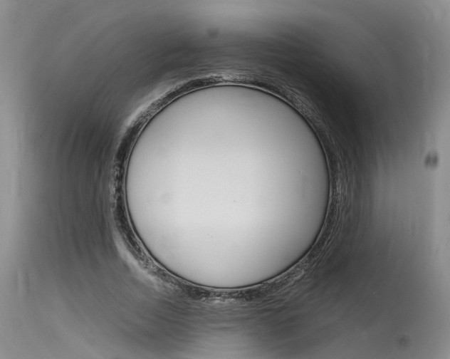X0000115720730200911121102