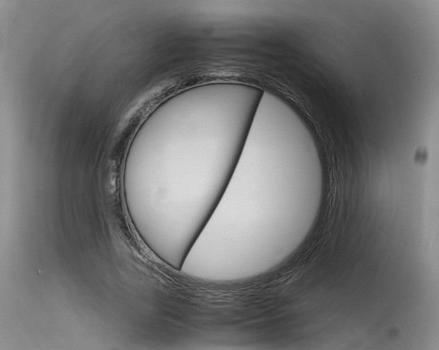 X0000115720731200911121102