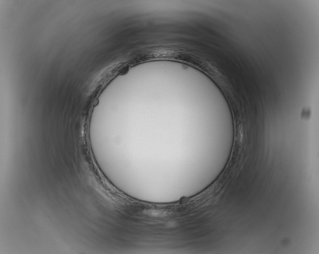 X0000115720733200911121102