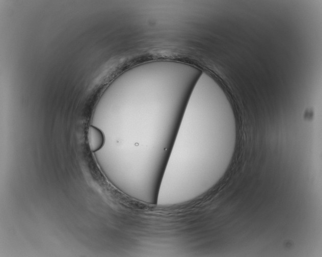 X0000115720738200911121102