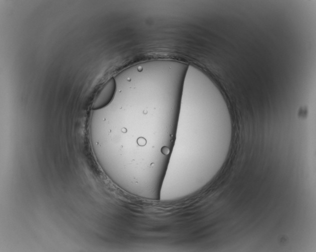 X0000115720739200911121102