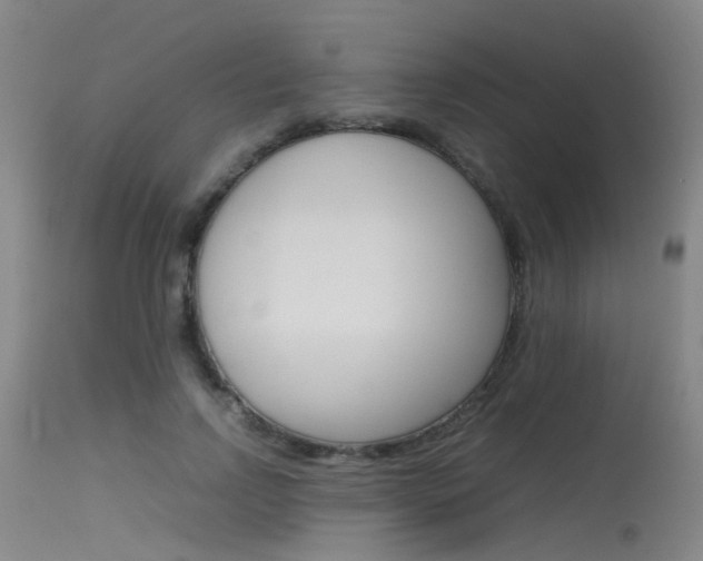 X0000115720742200911121102