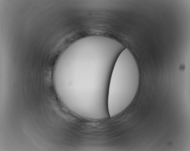 X0000115720745200911121102