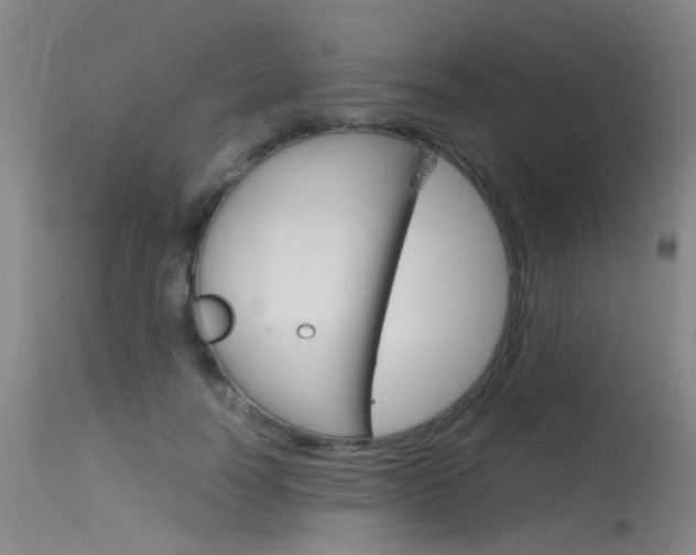 X0000115720746200911121102