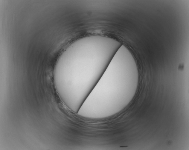 X0000115720747200911121102