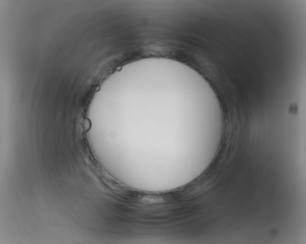 X0000115720749200911121102
