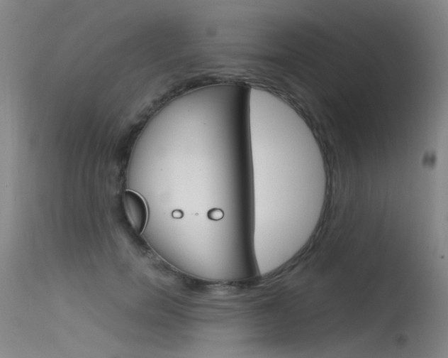 X0000115720750200911121102
