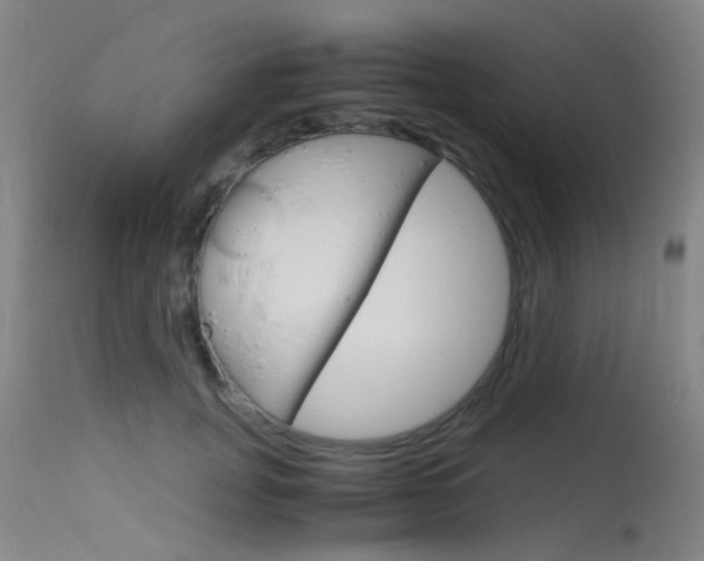 X0000115720751200911121102