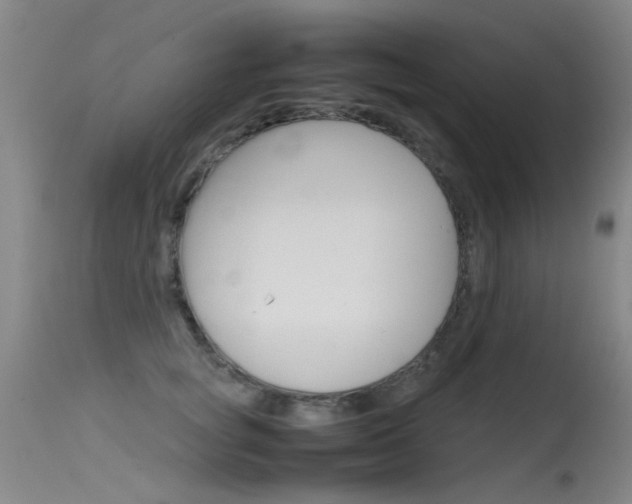 X0000115720757200911121102