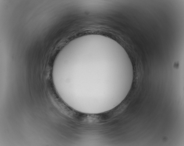 X0000115720758200911121102
