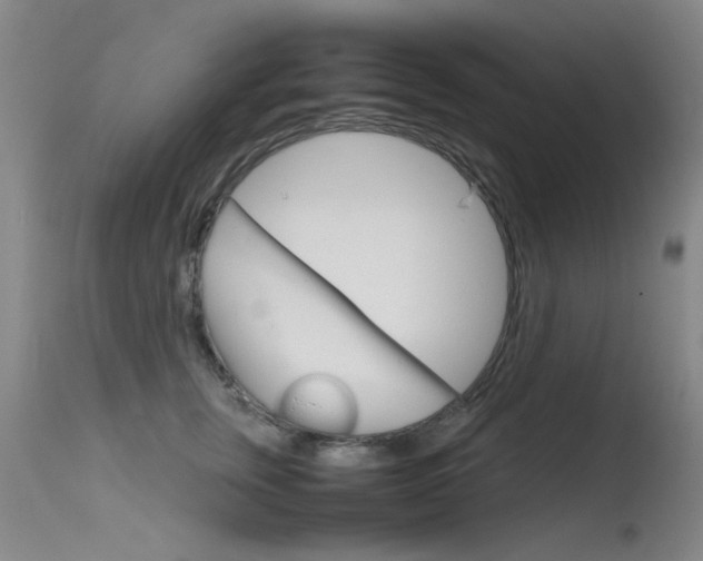 X0000115720759200911121102