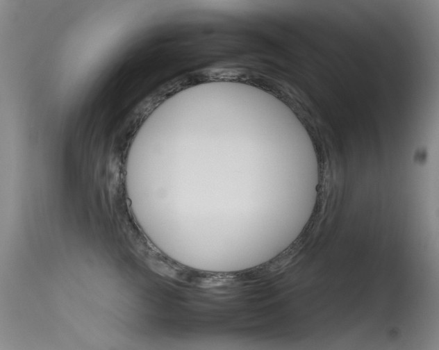 X0000115720761200911121102