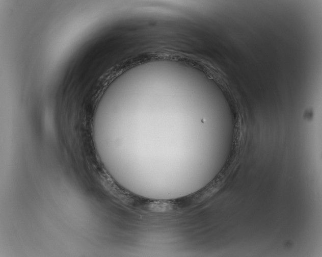 X0000115720762200911121102