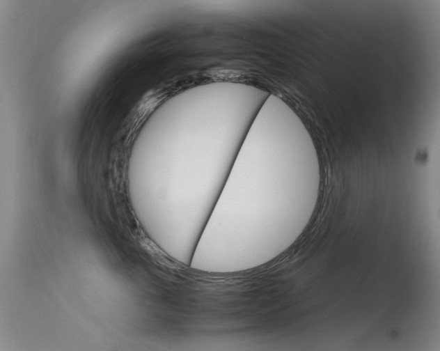 X0000115720763200911121102