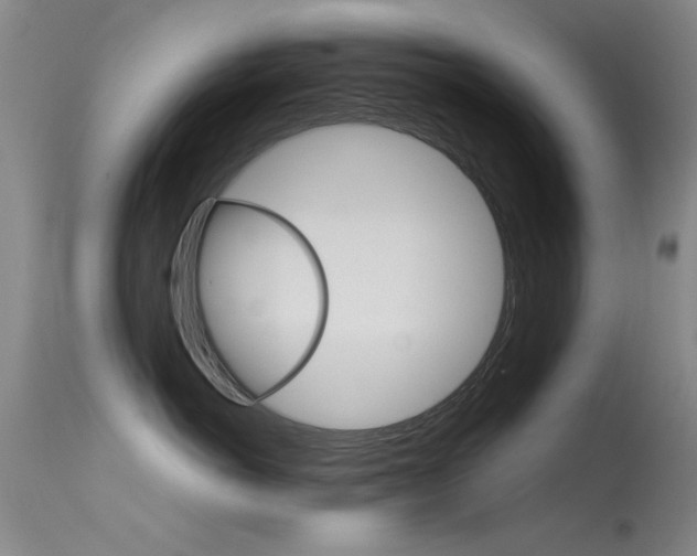 X0000115720766200911121103