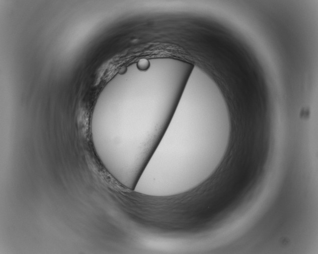 X0000115720767200911121103