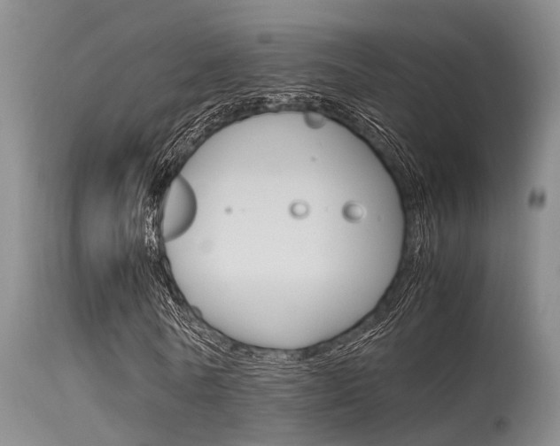 X0000115720770200911121102