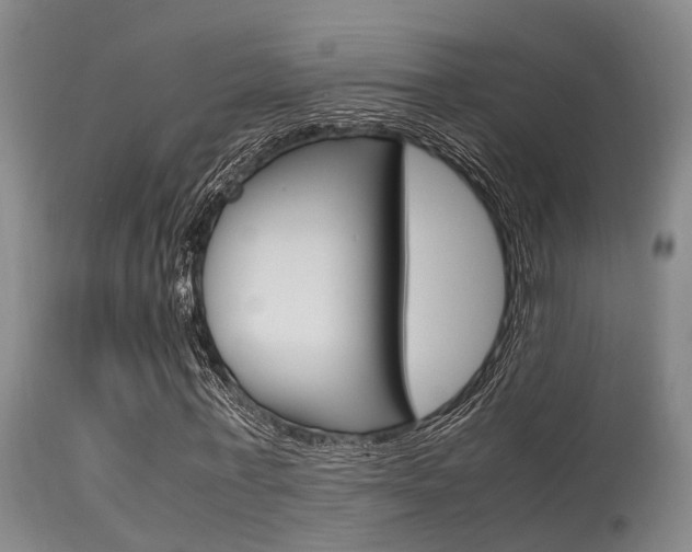 X0000115720771200911121102