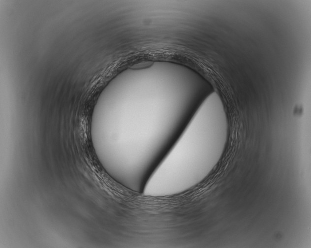 X0000115720772200911121102