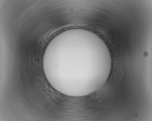 X0000115720773200911121102